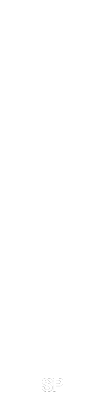 SP